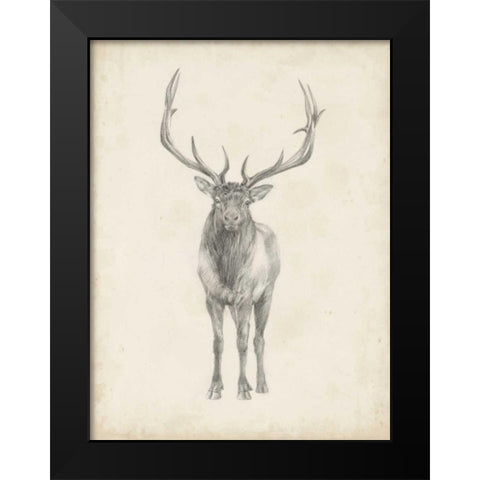 Elk Study Black Modern Wood Framed Art Print by Harper, Ethan