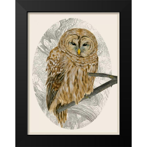 Barred Owl I Black Modern Wood Framed Art Print by Wang, Melissa