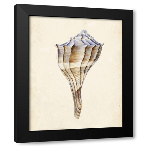 Watercolor Seashell I Black Modern Wood Framed Art Print by Wang, Melissa