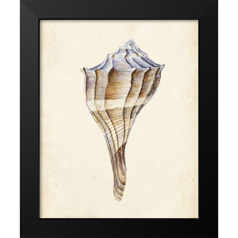 Watercolor Seashell I Black Modern Wood Framed Art Print by Wang, Melissa