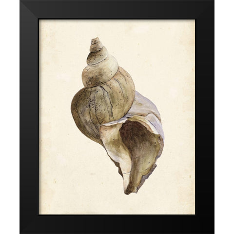 Watercolor Seashell II Black Modern Wood Framed Art Print by Wang, Melissa