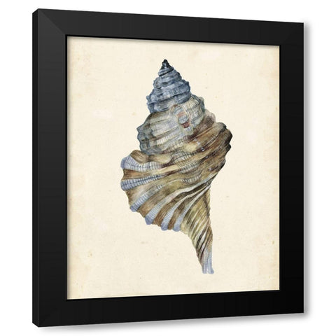 Watercolor Seashell III Black Modern Wood Framed Art Print by Wang, Melissa