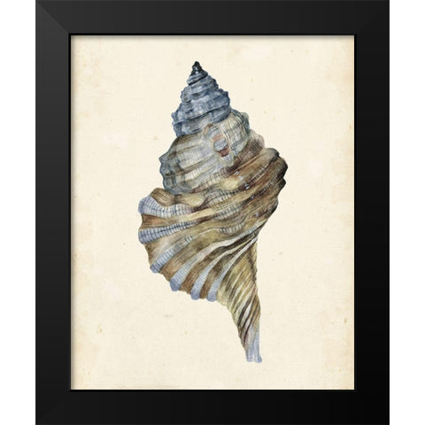 Watercolor Seashell III Black Modern Wood Framed Art Print by Wang, Melissa