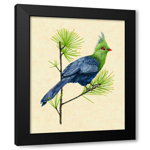 Green Turaco I Black Modern Wood Framed Art Print with Double Matting by Wang, Melissa