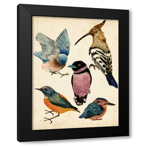 Bird Collection I Black Modern Wood Framed Art Print with Double Matting by Wang, Melissa