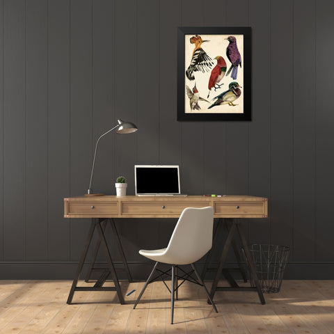 Bird Collection II Black Modern Wood Framed Art Print by Wang, Melissa