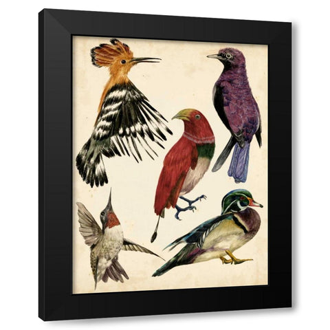 Bird Collection II Black Modern Wood Framed Art Print with Double Matting by Wang, Melissa