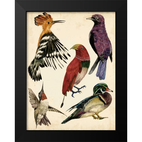 Bird Collection II Black Modern Wood Framed Art Print by Wang, Melissa