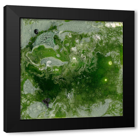 Pangaea I Black Modern Wood Framed Art Print by Ludwig, Alicia