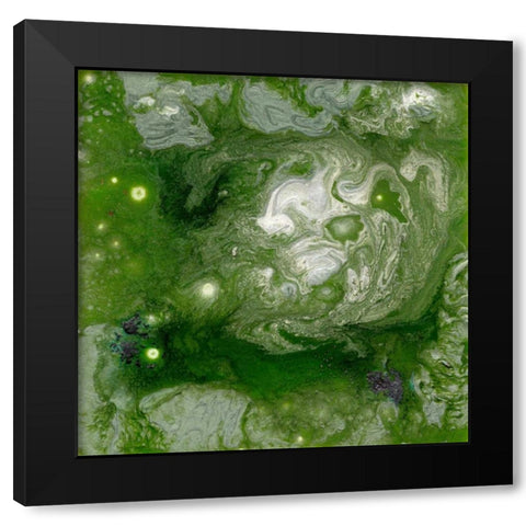 Pangaea II Black Modern Wood Framed Art Print by Ludwig, Alicia