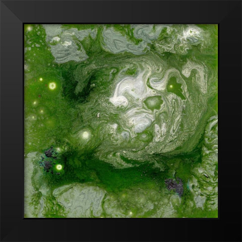 Pangaea II Black Modern Wood Framed Art Print by Ludwig, Alicia