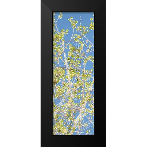 Spring Poplars II Black Modern Wood Framed Art Print by Chandler, Sharon
