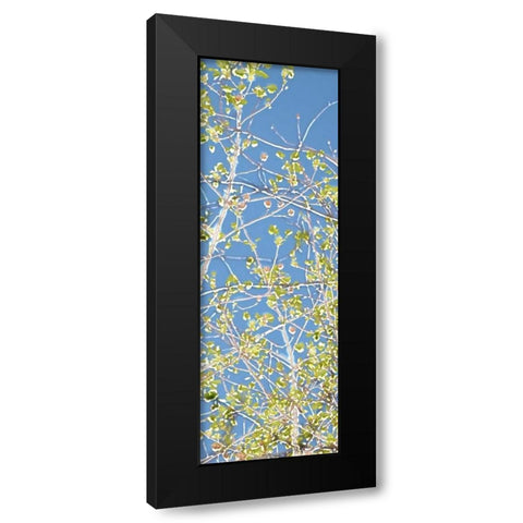 Spring Poplars III Black Modern Wood Framed Art Print by Chandler, Sharon