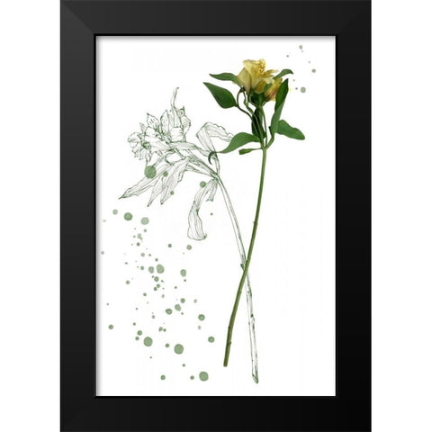 Botany Flower I Black Modern Wood Framed Art Print by Wang, Melissa