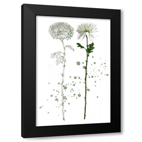 Botany Flower IV Black Modern Wood Framed Art Print with Double Matting by Wang, Melissa