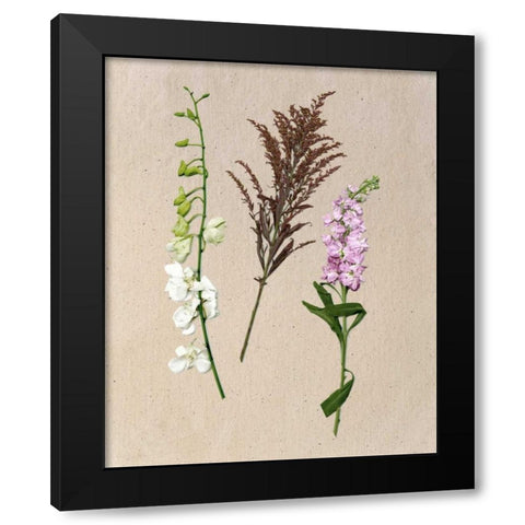 Pretty Pressed Flowers IV Black Modern Wood Framed Art Print with Double Matting by Wang, Melissa