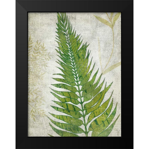 Frond II Black Modern Wood Framed Art Print by Zarris, Chariklia