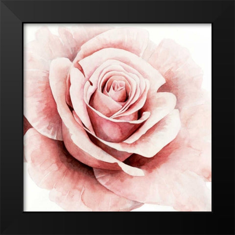 Pink Rose I Black Modern Wood Framed Art Print by Popp, Grace