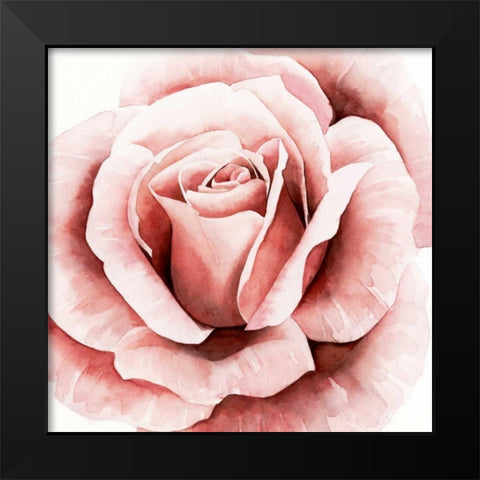 Pink Rose II Black Modern Wood Framed Art Print by Popp, Grace