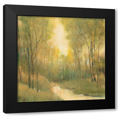 Forest Sanctuary I Black Modern Wood Framed Art Print by OToole, Tim