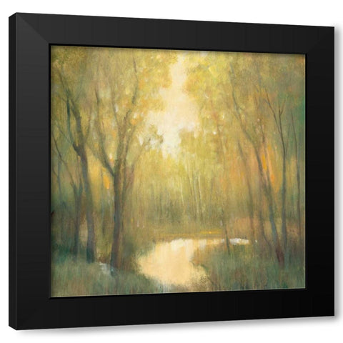 Forest Sanctuary II Black Modern Wood Framed Art Print by OToole, Tim