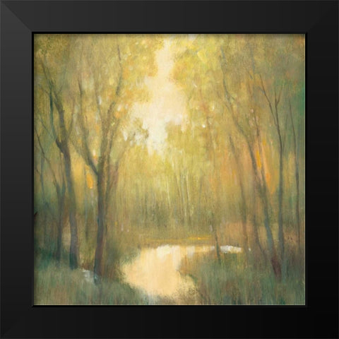 Forest Sanctuary II Black Modern Wood Framed Art Print by OToole, Tim