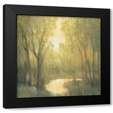 Forest Sanctuary II Black Modern Wood Framed Art Print by OToole, Tim