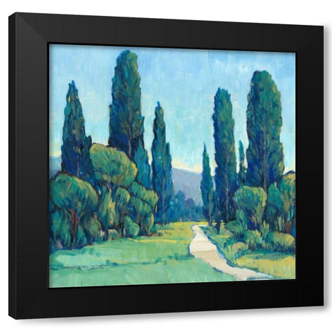 Cypress Path II Black Modern Wood Framed Art Print by OToole, Tim