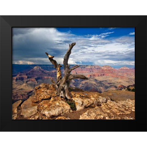 Canyon View V Black Modern Wood Framed Art Print by Drost, David