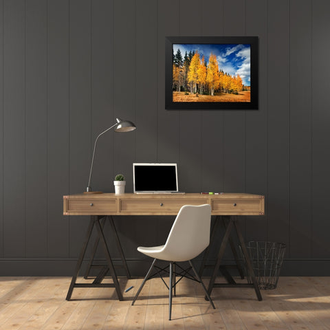 Through the Yellow Trees II Black Modern Wood Framed Art Print by Drost, David
