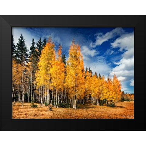Through the Yellow Trees II Black Modern Wood Framed Art Print by Drost, David