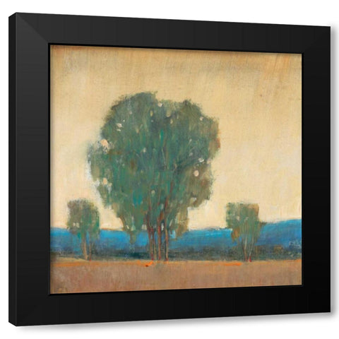 Clearing Storm II Black Modern Wood Framed Art Print with Double Matting by OToole, Tim