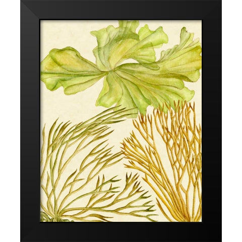 Vintage Seaweed Collection I Black Modern Wood Framed Art Print by Wang, Melissa