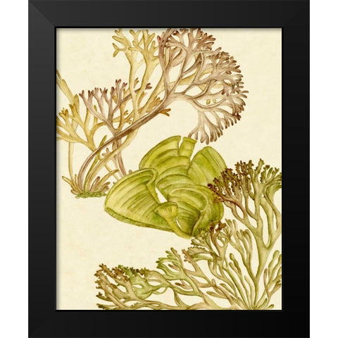 Vintage Seaweed Collection II Black Modern Wood Framed Art Print by Wang, Melissa