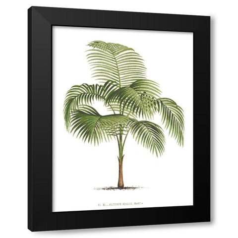 Custom Les Palmiers on White I Black Modern Wood Framed Art Print by Unknown