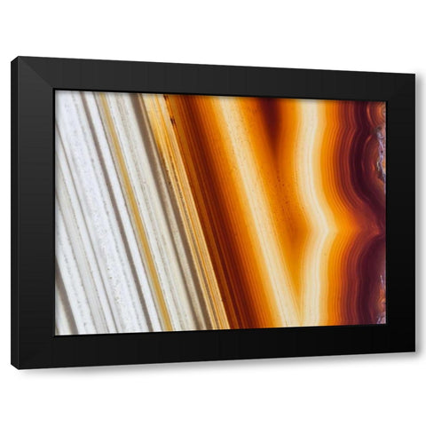 Level II Black Modern Wood Framed Art Print by Hartson-Weddle, Ryan