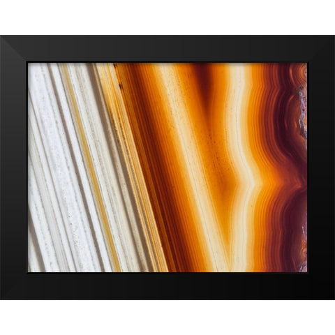 Level II Black Modern Wood Framed Art Print by Hartson-Weddle, Ryan