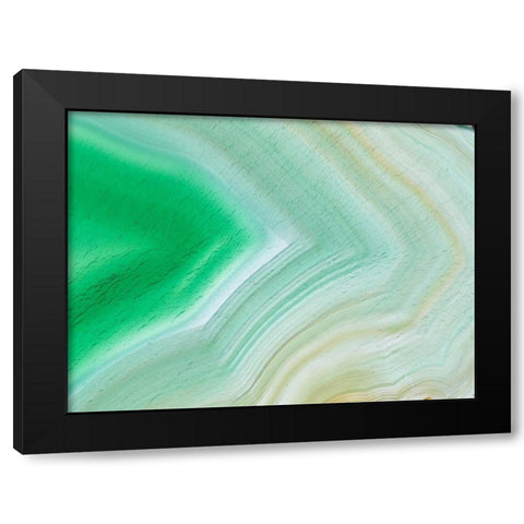 Level III Black Modern Wood Framed Art Print by Hartson-Weddle, Ryan