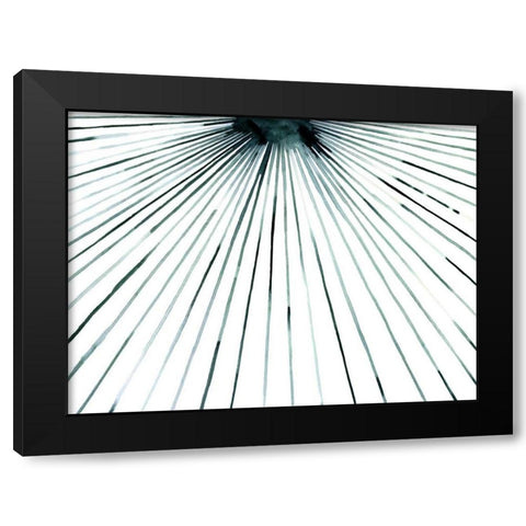 Strobe II Black Modern Wood Framed Art Print with Double Matting by Popp, Grace