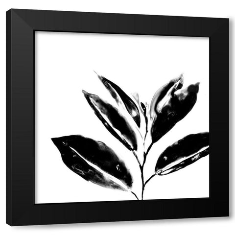 Monochrome Tropic IV Black Modern Wood Framed Art Print by Vess, June Erica