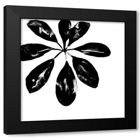 Monochrome Tropic VI Black Modern Wood Framed Art Print by Vess, June Erica