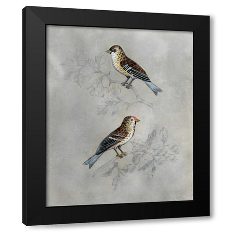Silvered Aviary II Black Modern Wood Framed Art Print by McCavitt, Naomi