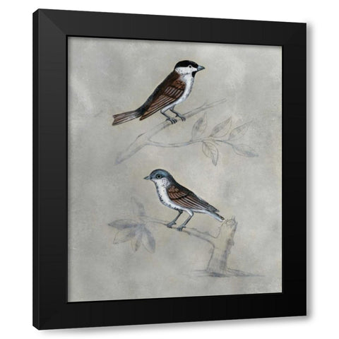 Silvered Aviary III Black Modern Wood Framed Art Print by McCavitt, Naomi
