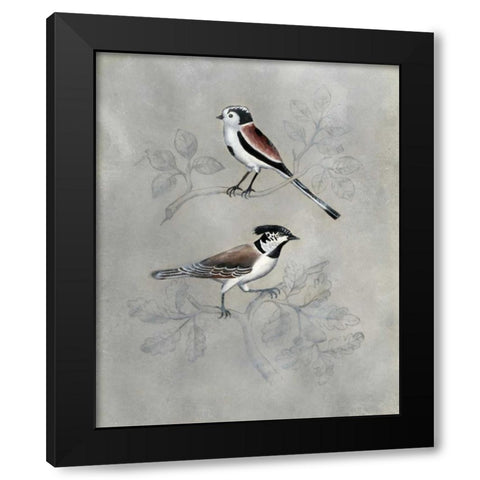 Silvered Aviary IV Black Modern Wood Framed Art Print by McCavitt, Naomi