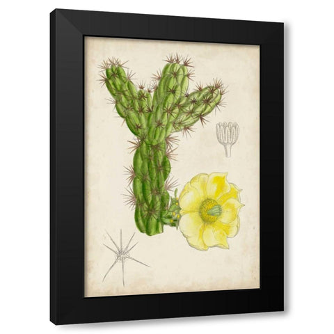Antique Cactus I Black Modern Wood Framed Art Print with Double Matting by Curtis