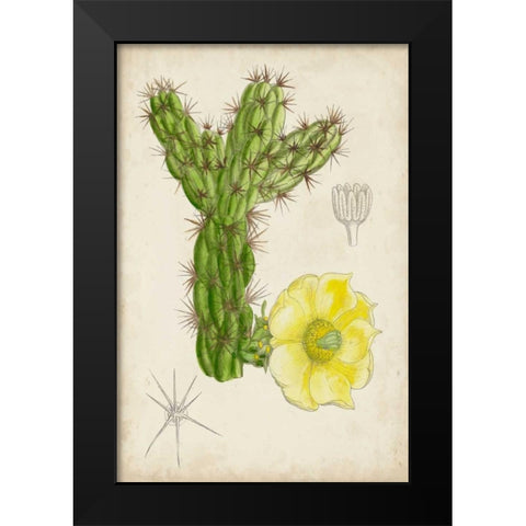 Antique Cactus I Black Modern Wood Framed Art Print by Curtis