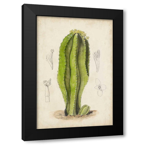 Antique Cactus VI Black Modern Wood Framed Art Print with Double Matting by Curtis