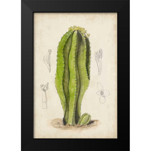 Antique Cactus VI Black Modern Wood Framed Art Print by Curtis