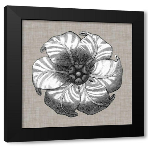 Neutral Rosette Detail III Black Modern Wood Framed Art Print with Double Matting by Vision Studio
