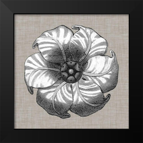 Neutral Rosette Detail III Black Modern Wood Framed Art Print by Vision Studio